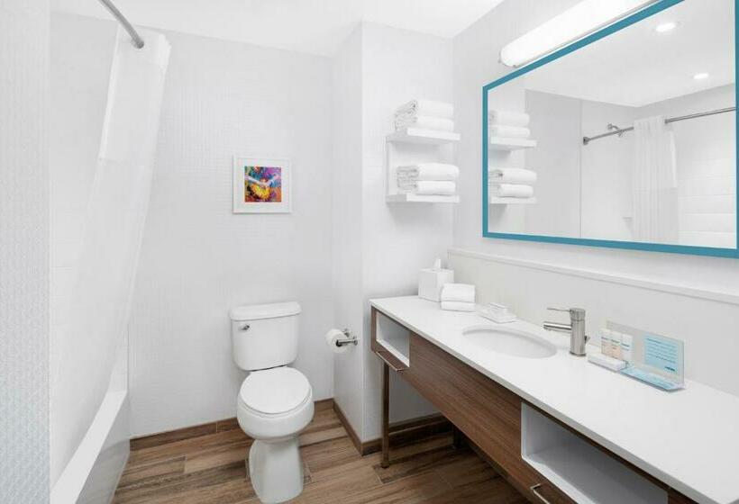 هتل Hampton Inn & Suites Bridgeview Chicago