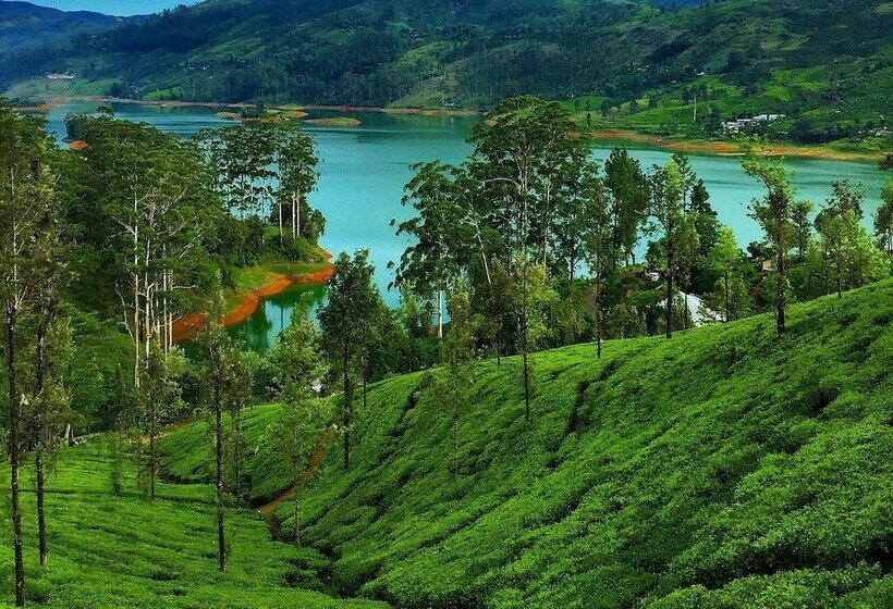 Отель Hatton City Stay