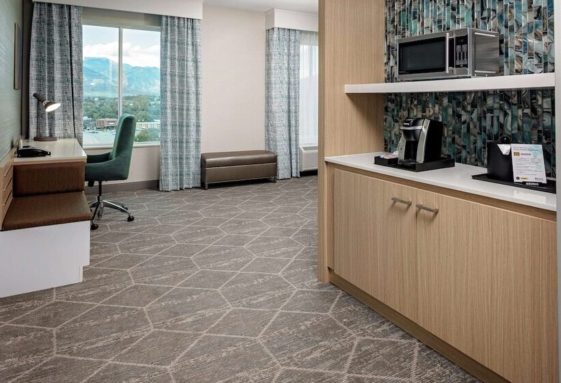 호텔 Hilton Garden Inn Colorado Springs Downtown