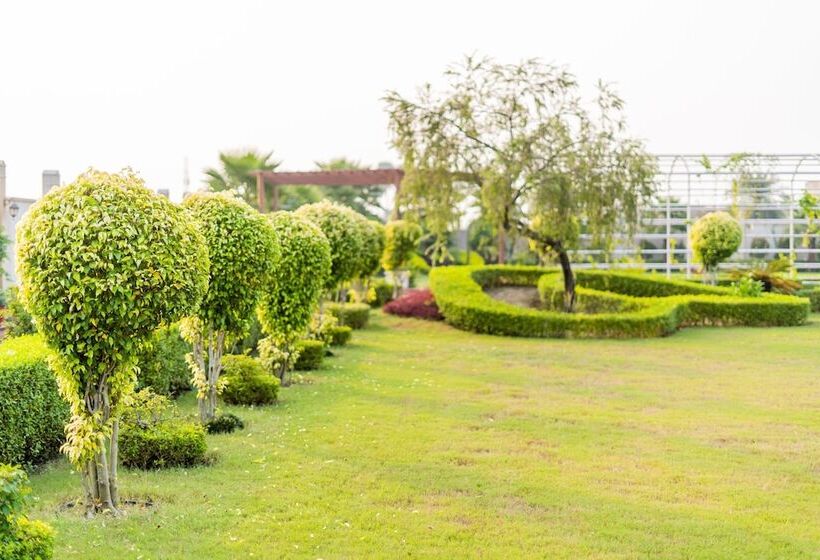 בית מלון כפרי The Radiant Resort