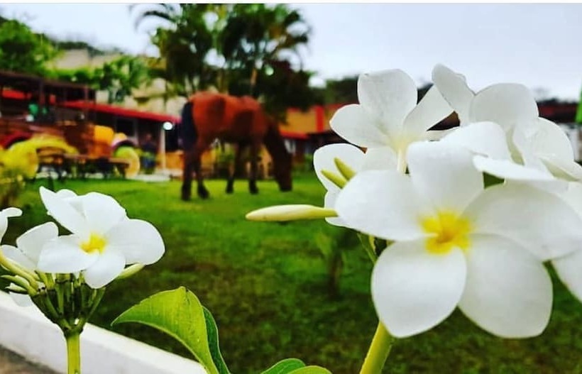 Пансион Pousada Garanhuns