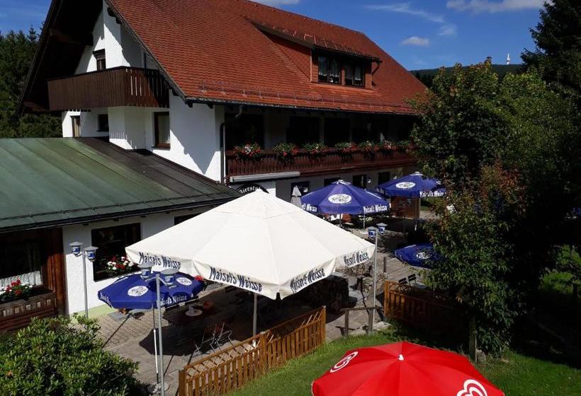 Общежитие Gasthof Hammerschmiede