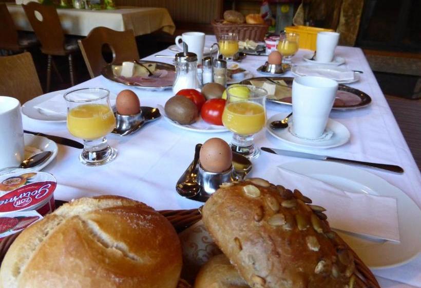 Общежитие Gasthof Hammerschmiede