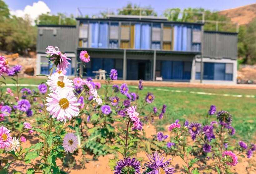 ベッドアンドブレックファースト Arevi