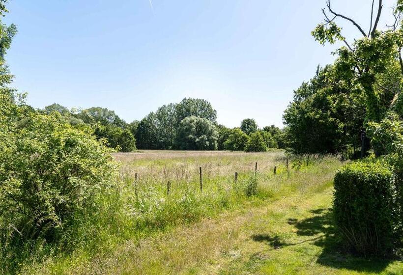 Bed and Breakfast De Gulle Beemden