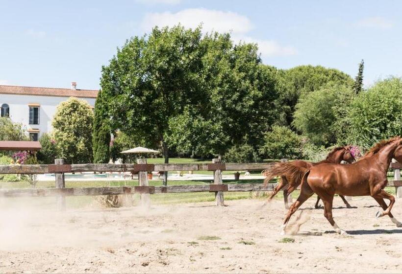 민박 Hacienda Las Tres Niñas