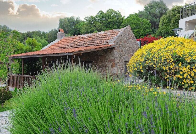 ホテル Dorman Suites