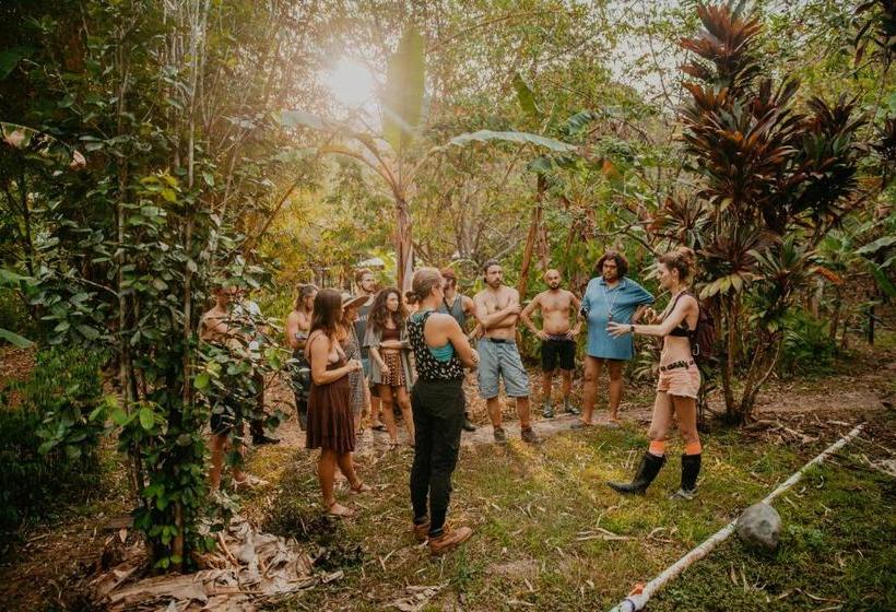 فندق The Jungle Lodge At Kalu Yala