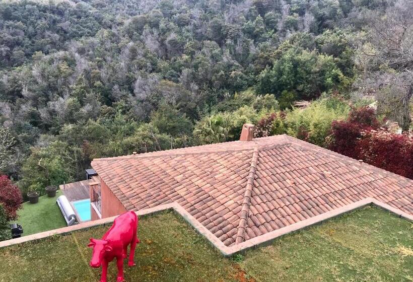 פנסיון Villa Colina