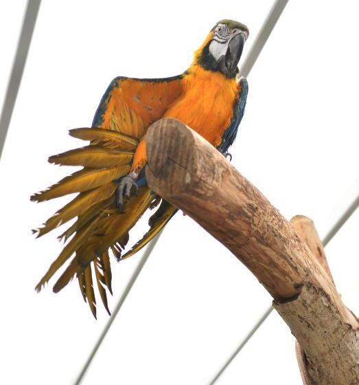 B&b Trullo Barbagiullo