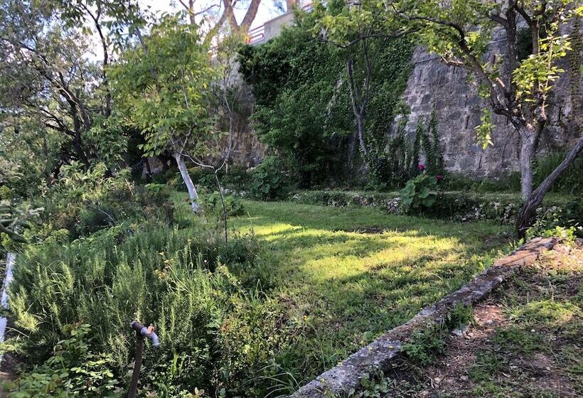 مبيت وإفطار Villa Curiel