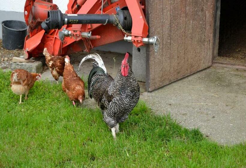 호텔 Gschwendnerhof Reitberger Brandl