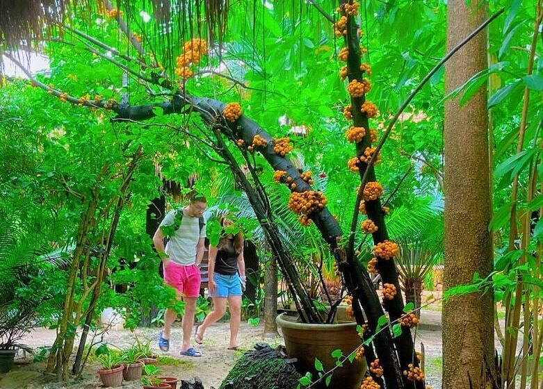 هتل Soeliana Resort