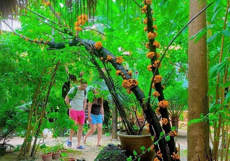 هتل Soeliana Resort