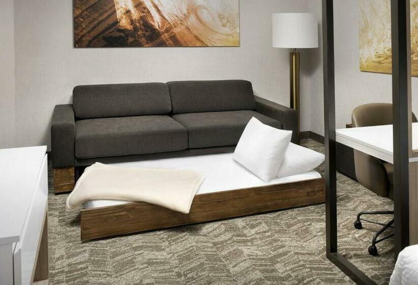 Отель Springhill Suites By Marriott Loveland Fort Collins/windsor