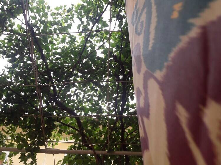 بنسيون Odilnur