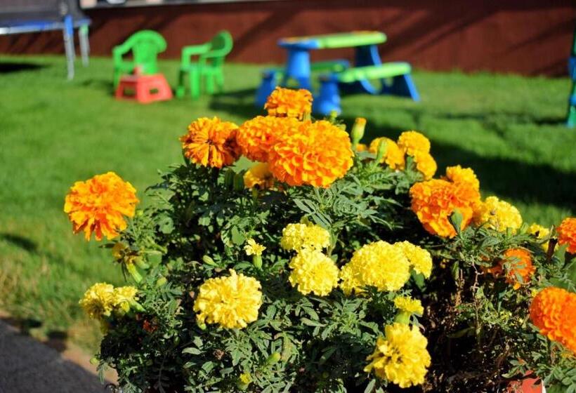 פנסיון Valurile Mării Vama   Veche