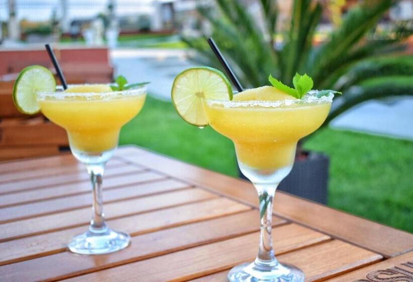 פנסיון Valurile Mării Vama   Veche