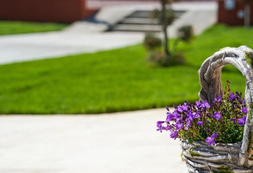 פנסיון Valurile Mării Vama   Veche