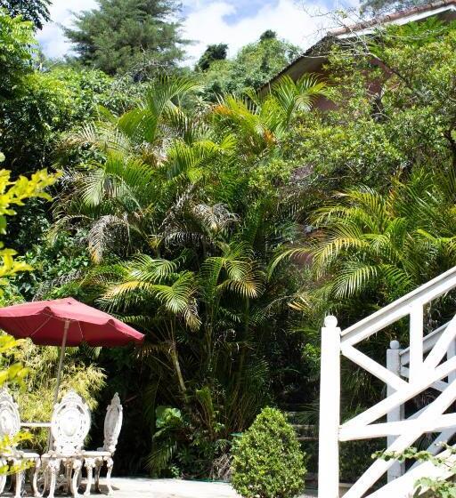 펜션 Villa Violeta