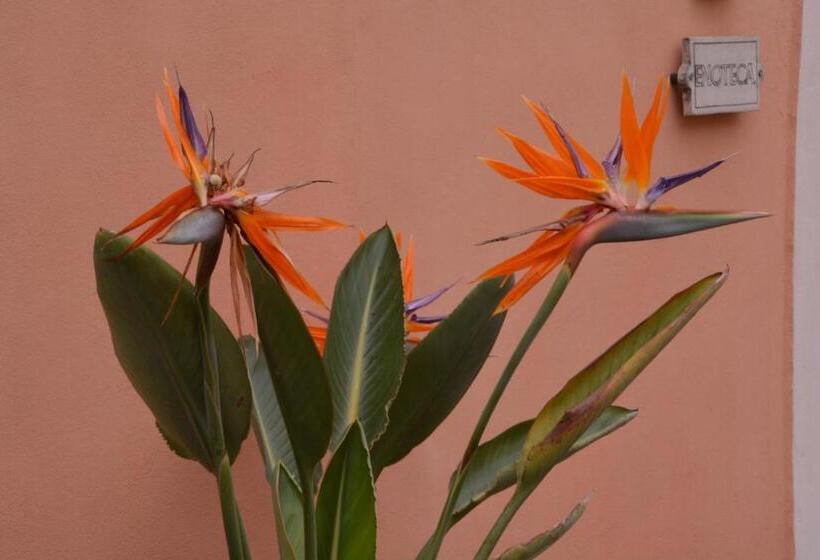 Casa Re   B&b E Vino A Montabone