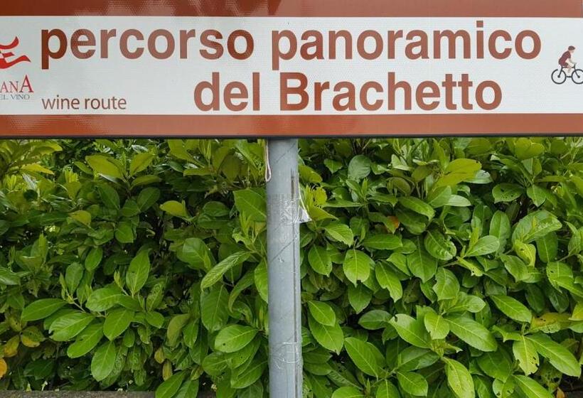 Casa Re   B&b E Vino A Montabone