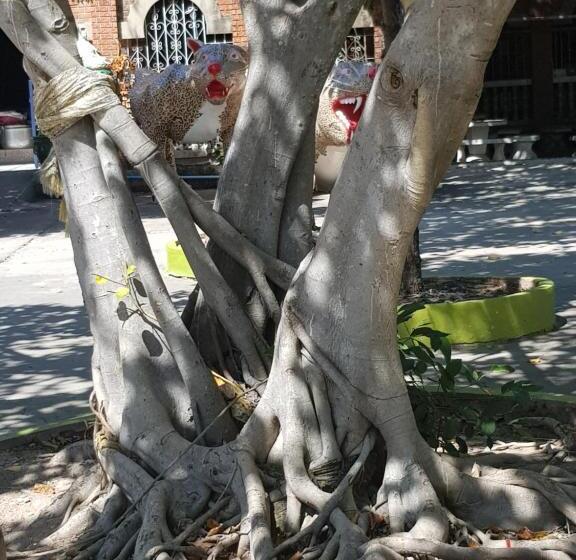 פנסיון Plaza Huahin