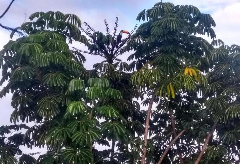 بنسيون Pousada Buena Vista