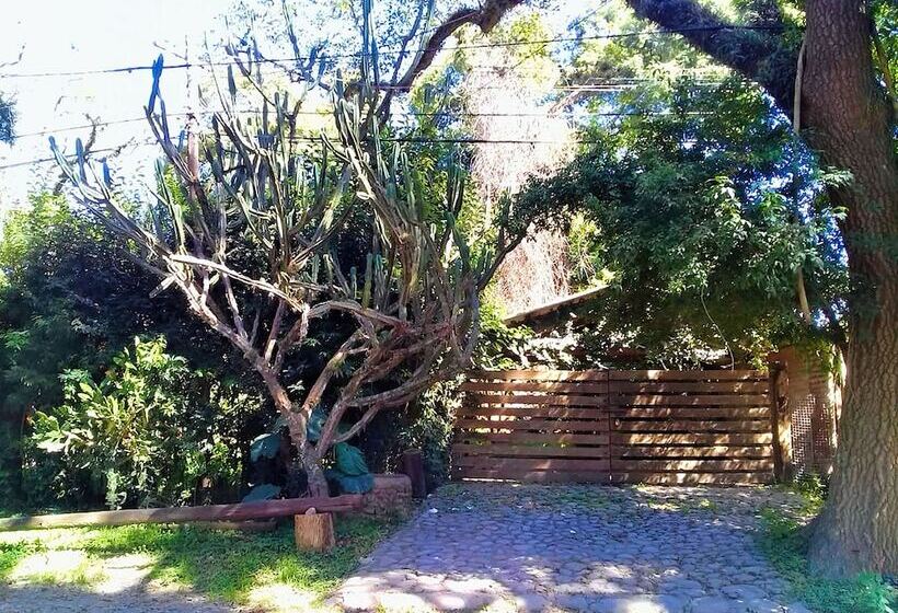 Terrazas Del Coya   Hostel