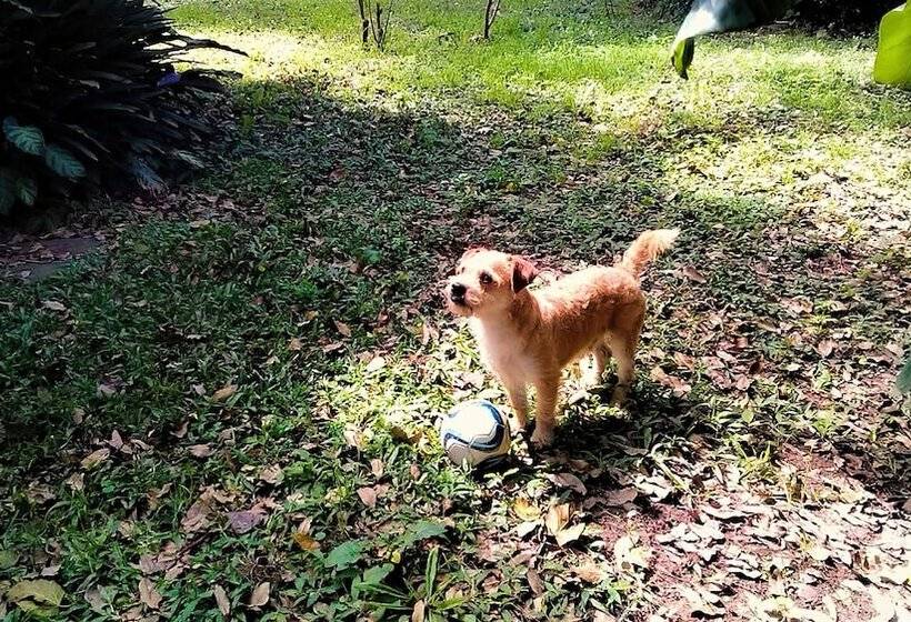 Terrazas Del Coya   Hostel