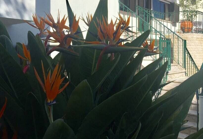 צימר Paradise Suites