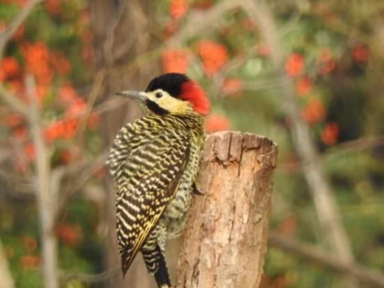 Bed and Breakfast Varuna  En La Casa De Nanda