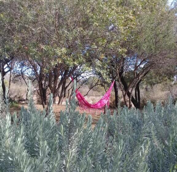 Bed and Breakfast Varuna  En La Casa De Nanda