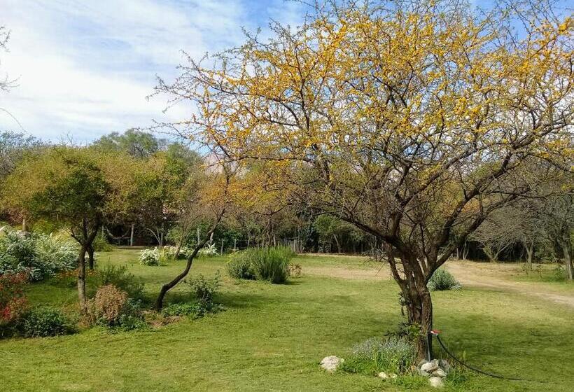 Bed and Breakfast Varuna  En La Casa De Nanda