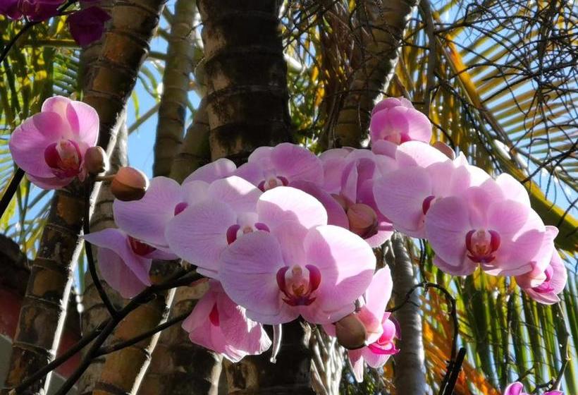 בית מלון כפרי La Familia