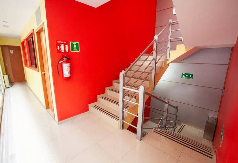 ホテル Lira Solo Adultos