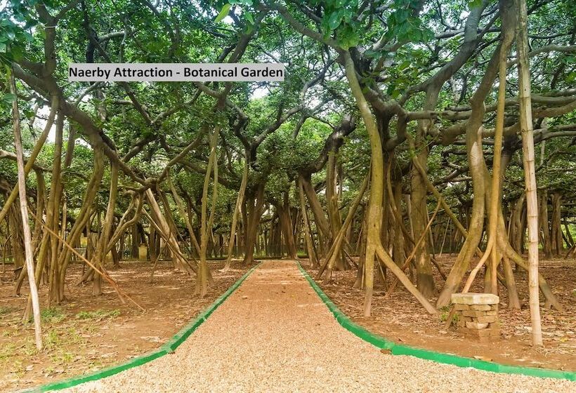 Oyo 33504 Hotel Anamda Inn