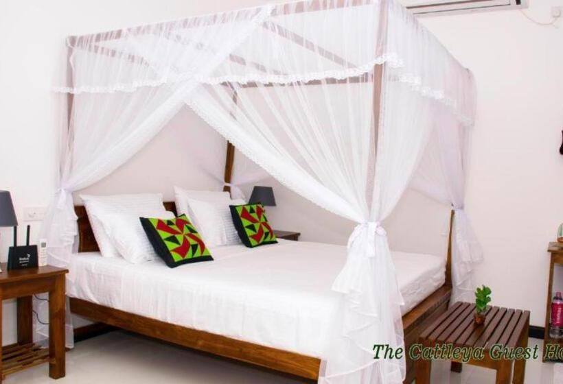 ペンション The Cattleya Guest House Sigiriya