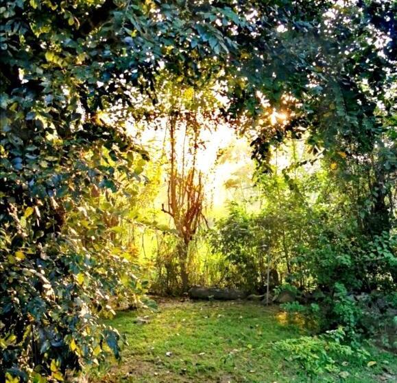 ペンション The Cattleya Guest House Sigiriya