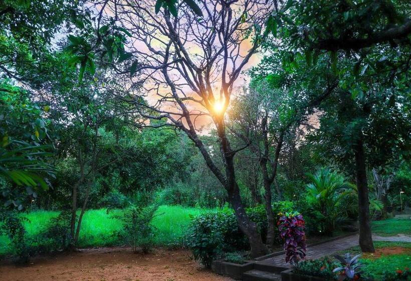 ペンション The Cattleya Guest House Sigiriya