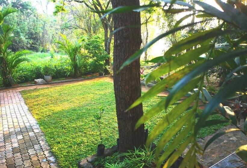 ペンション The Cattleya Guest House Sigiriya