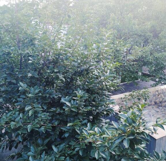 بنسيون World Guest House