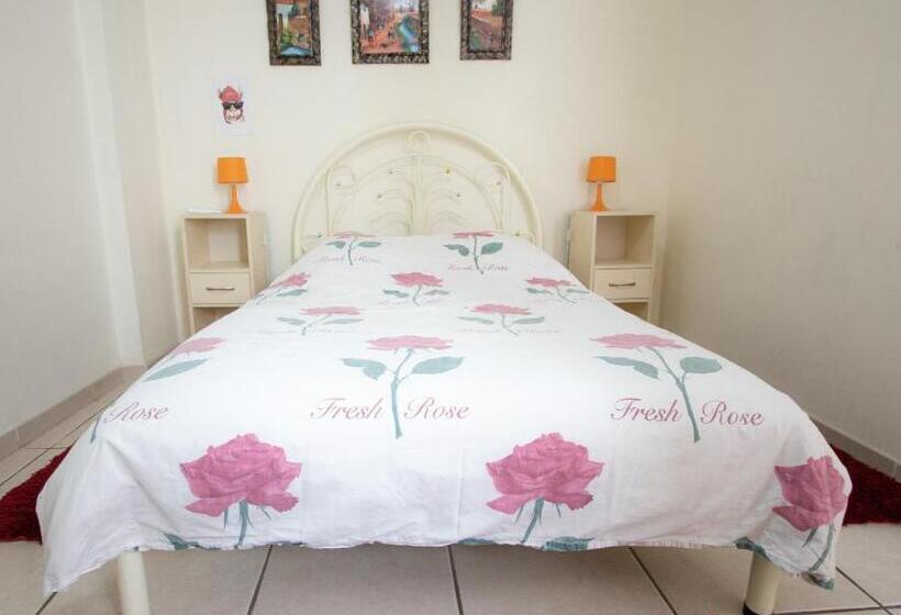 호스텔 Mama Backpackers