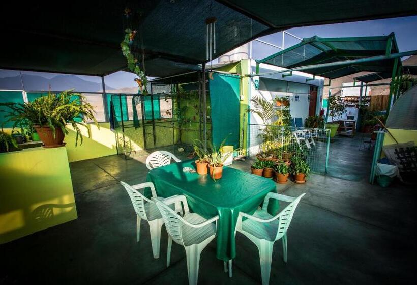 호스텔 Mama Backpackers