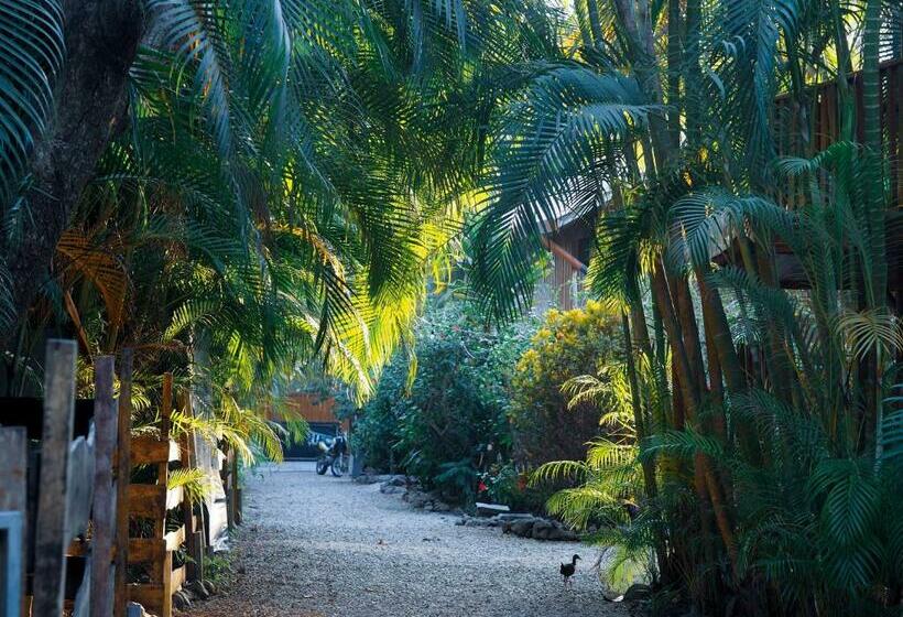 هاستل Salty Enthusiasts Share House & Villas