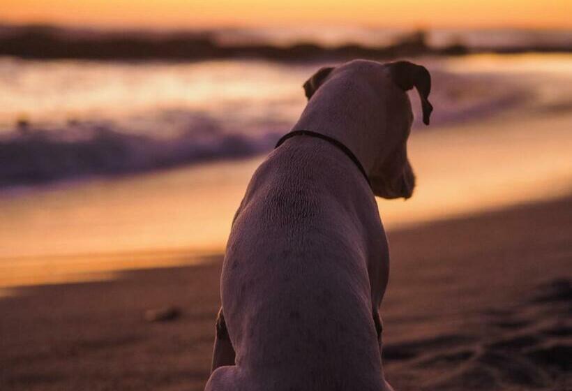 هاستل Salty Enthusiasts Share House & Villas