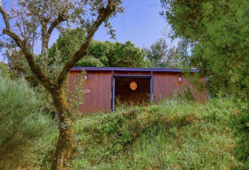 مبيت وإفطار Arrabia Guest Houses Glamping