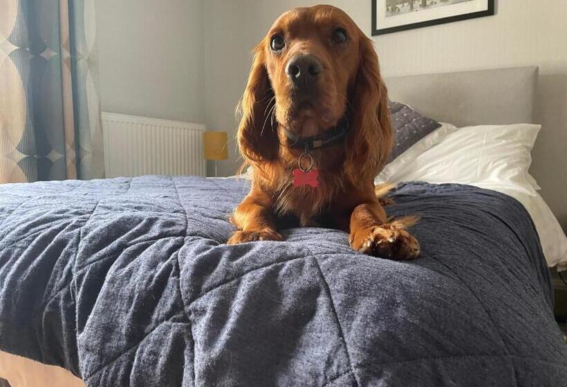 צימר Winchester House