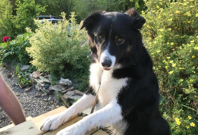 צימר Winchester House