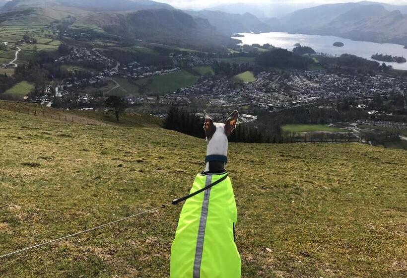 צימר Winchester House